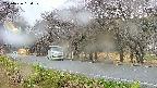 takano5-20250426150109.jpg