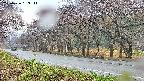 takano5-20250426163112.jpg
