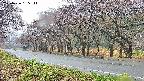 takano5-20250426165112.jpg