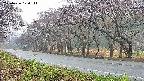 takano5-20250426170112.jpg