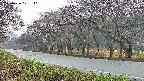 takano5-20250426171112.jpg