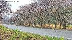 takano5-20250426172111.jpg