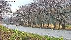 takano5-20250426173112.jpg