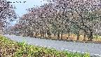 takano5-20250426175112.jpg