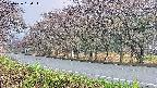 takano5-20250426180113.jpg