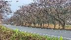 takano5-20250426181111.jpg