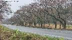 takano5-20250426182111.jpg
