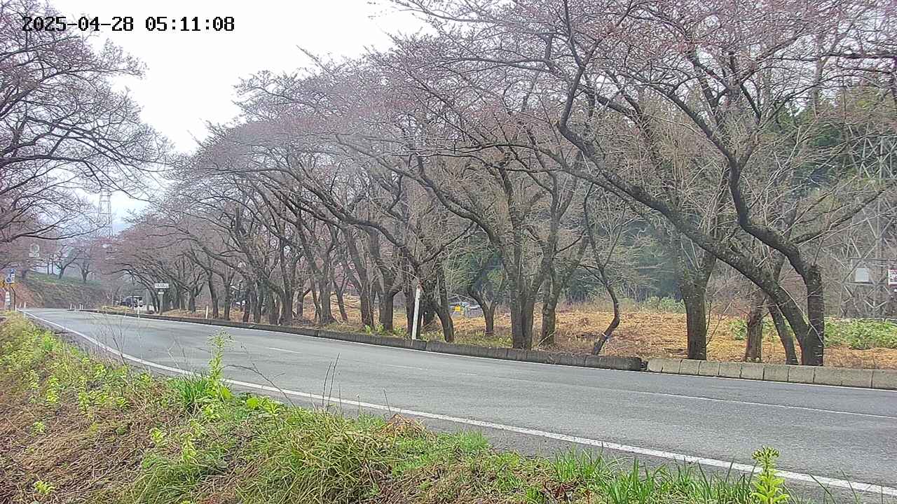 takano5-20250428051110.jpg