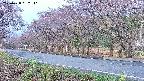 takano5-20250428062111.jpg