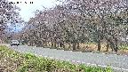 takano5-20250428135112.jpg