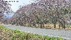 takano5-20250428143113.jpg