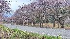 takano5-20250428181111.jpg
