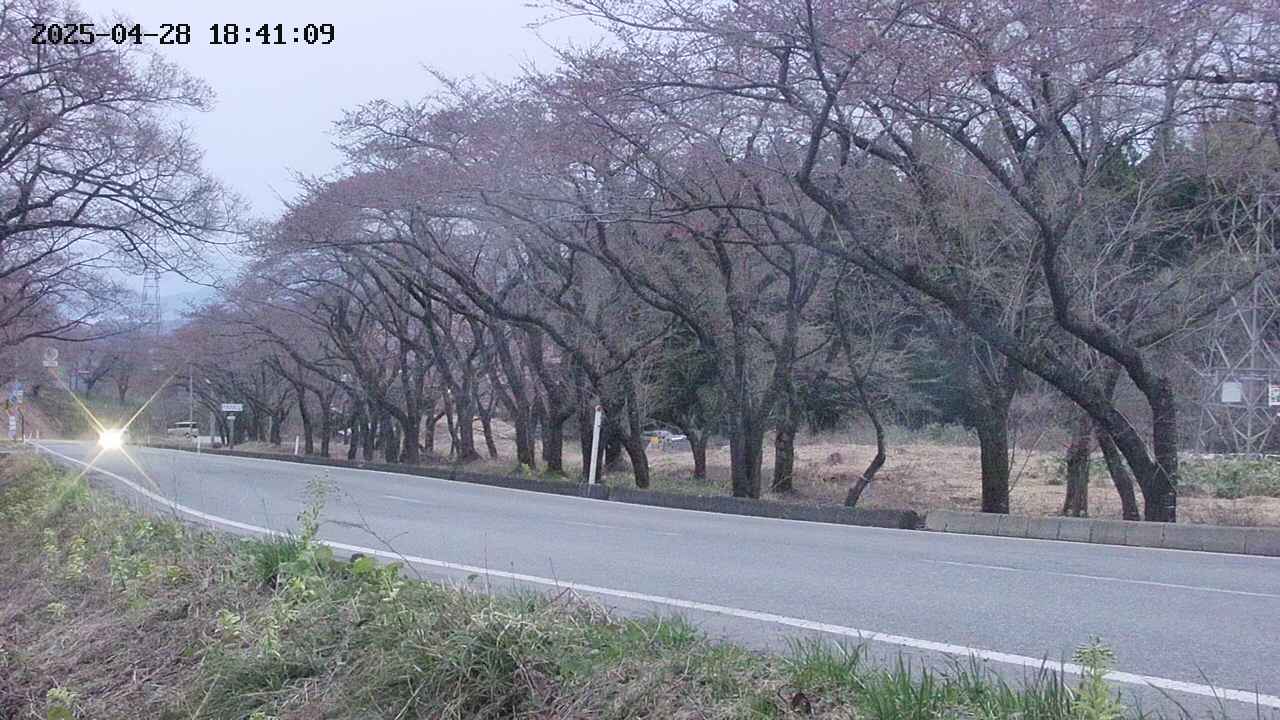 takano5-20250428184110.jpg