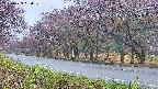 takano5-20250429050110.jpg