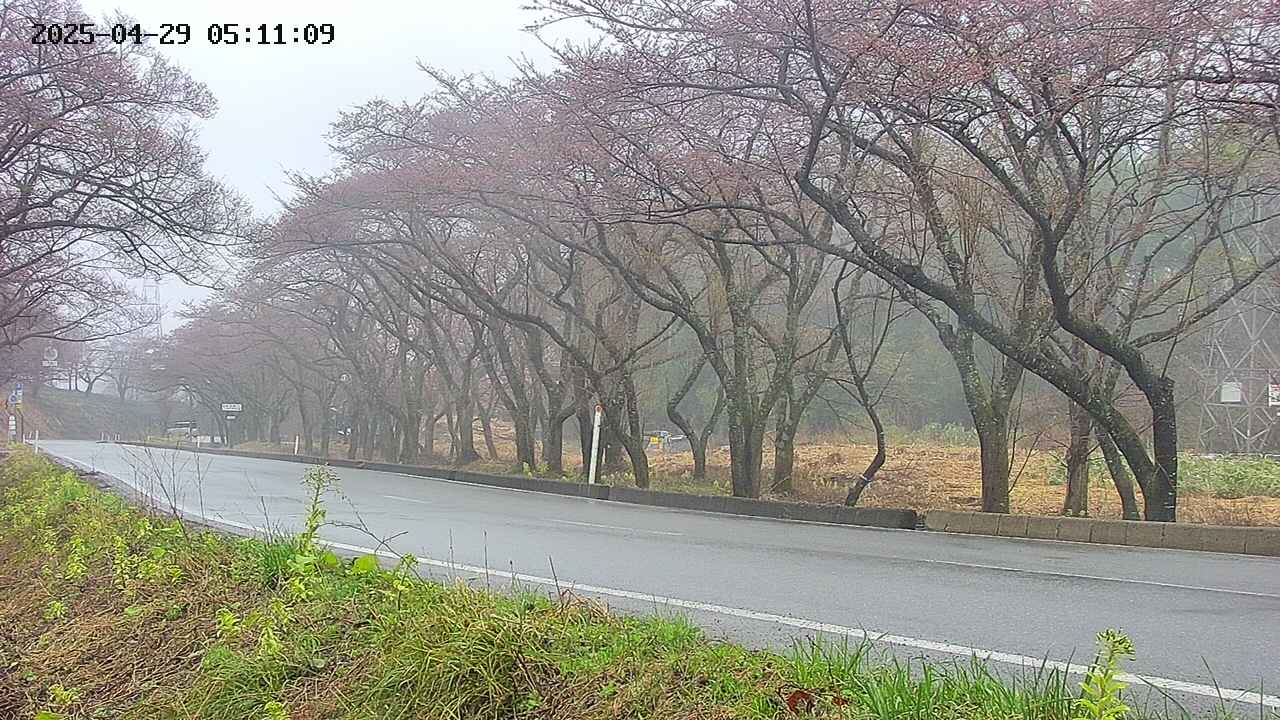takano5-20250429051110.jpg