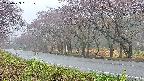 takano5-20250429051110.jpg