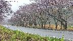 takano5-20250429052110.jpg