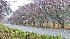 takano5-20250429053109.jpg