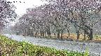 takano5-20250429055110.jpg