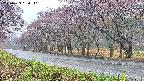 takano5-20250429060111.jpg