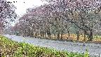 takano5-20250429061110.jpg