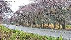 takano5-20250429062111.jpg