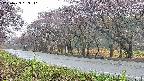 takano5-20250429063111.jpg