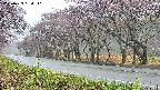 takano5-20250429064111.jpg