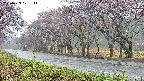 takano5-20250429071112.jpg