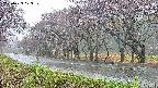 takano5-20250429073110.jpg