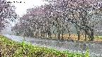 takano5-20250429074110.jpg