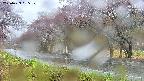 takano5-20250429085109.jpg