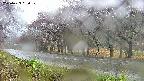 takano5-20250429090110.jpg