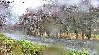 takano5-20250429091110.jpg