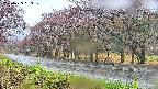 takano5-20250429093110.jpg