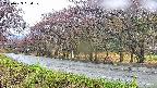 takano5-20250429094110.jpg