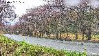 takano5-20250429095110.jpg