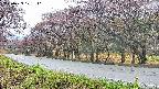 takano5-20250429101111.jpg