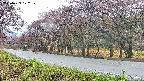 takano5-20250429102110.jpg