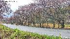 takano5-20250429103111.jpg