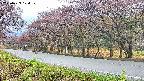 takano5-20250429104110.jpg
