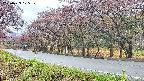 takano5-20250429105110.jpg
