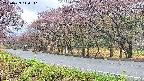 takano5-20250429110111.jpg
