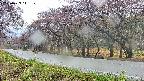 takano5-20250429111110.jpg