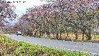 takano5-20250429112111.jpg