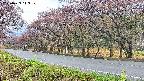 takano5-20250429113110.jpg