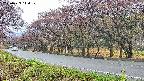 takano5-20250429114110.jpg