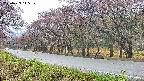takano5-20250429115111.jpg