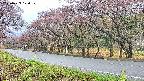 takano5-20250429120111.jpg