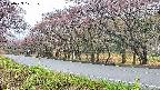 takano5-20250429121109.jpg